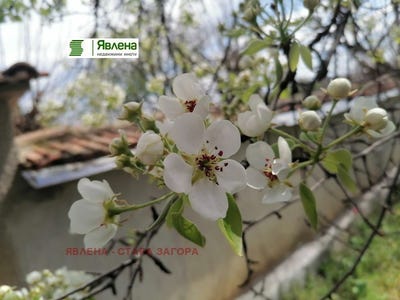 /international/bg/с-дълбоки-s-dalboki-стара-загора-stara-zagora-310107183774/