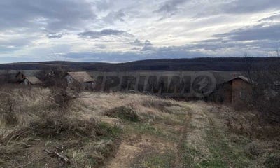 /international/bg/с-тияновци-s-tianovci-видин-vidin-310093877514/