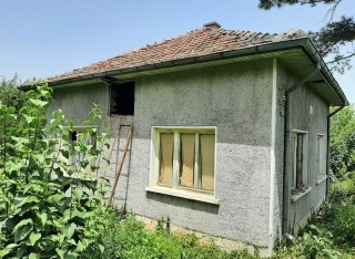 /international/bg/vratsa-montana-310103059790/