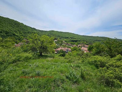 /international/bg/с-мурсалево-s-mursalevo-кюстендил-kyustendil-province-120093351453/