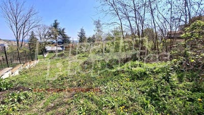 /international/bg/гр-бяла-gr-biala-варна-varna-310098800700/