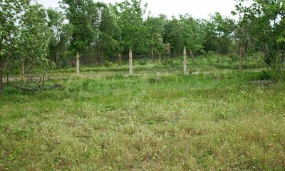 /international/bg/гр-елхово-gr-elhovo-ямбол-jambol-310097898957/
