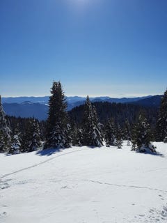 /international/bg/с-зорница-s-zornica-смолян-smoljan-310108554153/