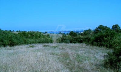 /international/bg/с-варвара-s-varvara-бургас-burgas-310106574369/