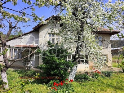 /international/bg/с-кормянско-s-kormiansko-габрово-gabrovo-310107559290/