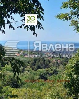 /international/bg/м-т-сотира-m-t-sotira-варна-varna-310100364869/