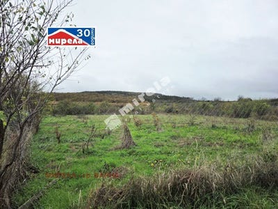 /international/bg/с-ягнило-s-iagnilo-варна-varna-310105741870/
