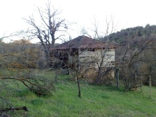 /international/bg/gabrovo-lovech-120092383146/