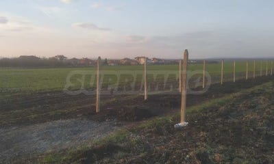 /international/bg/лозово-lozovo-бургас-burgas-310100275225/