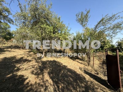 /international/bg/с-житуша-s-jitusha-перник-pernik-310102722774/