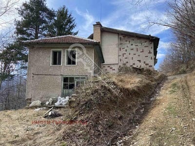 /international/bg/ябълка-iabalka-габрово-gabrovo-310095172987/