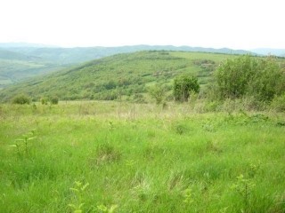 /international/bg/veliko-turnovo-lovech-310104862814/