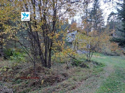 /international/bg/м-т-цигов-чарк-m-t-cigov-chark-пазарджик-pazardzhik-120088290273/