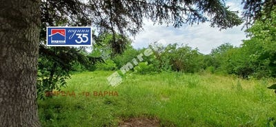 /international/bg/с-безводица-s-bezvodica-добрич-dobrich-province-310107422814/