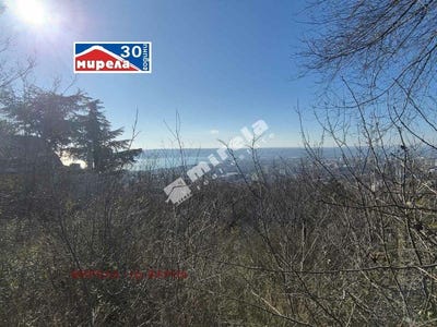 /international/bg/м-т-акчелар-m-t-akchelar-варна-varna-310104510725/