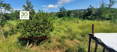 /international/bg/с-генерал-киселово-s-general-kiselovo-варна-varna-310108834971/