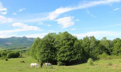 /international/bg/гр-априлци-gr-aprilci-ловеч-lovech-310095274540/