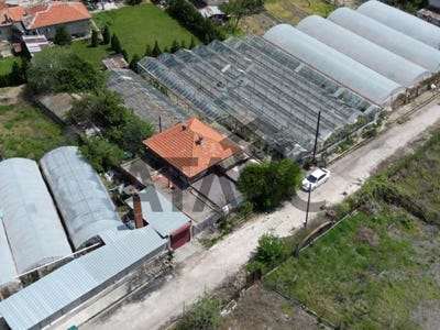 /international/bg/с-ново-село-s-novo-selo-пловдив-plovdiv-province-310099341925/