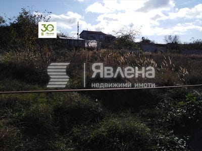 /international/bg/изгрев-izgrev-варна-varna-310106740837/