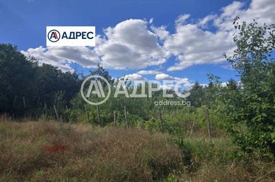 /international/bg/с-аврен-s-avren-варна-varna-310100959647/