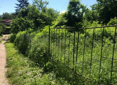 /international/bg/с-извор-s-izvor-пловдив-plovdiv-province-310100668880/