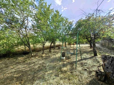 /international/bg/с-ценово-s-cenovo-русе-ruse-310101282637/