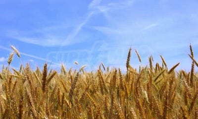 /international/bg/гр-дряново-gr-drianovo-габрово-gabrovo-120088559018/