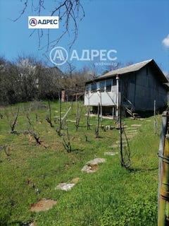 /international/bg/с-осеново-s-osenovo-варна-varna-310108370469/