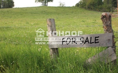 /international/bg/с-марково-s-markovo-пловдив-plovdiv-province-120088618814/