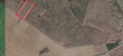 /international/bg/с-мусачево-s-musachevo-софия-sofia-province-310101018766/