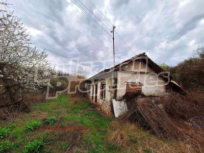 /international/bg/с-пиперево-s-piperevo-кюстендил-kyustendil-province-310098505944/