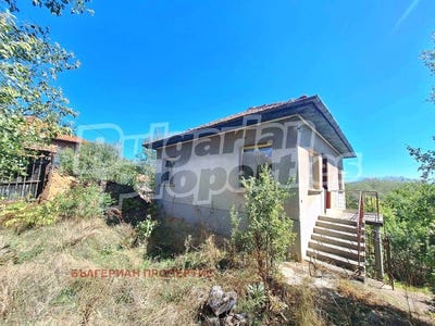 /international/bg/с-таваличево-s-tavalichevo-кюстендил-kyustendil-province-310102484361/