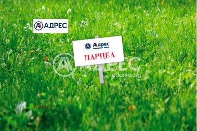 /international/bg/с-слънчево-s-slanchevo-варна-varna-310100992039/