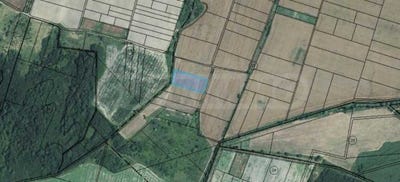 /international/bg/с-кошарица-s-kosharica-бургас-burgas-310102744970/