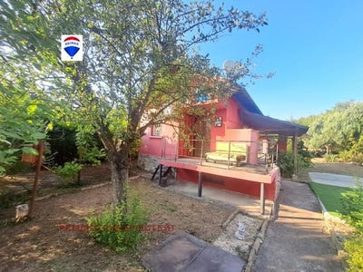 /international/bg/долапите-10-км-dolapite-10-km-русе-ruse-310101601712/