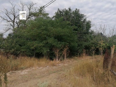 /international/bg/с-богдан-s-bogdan-добрич-dobrich-province-310102435845/