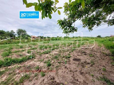 /international/bg/с-трънково-s-trankovo-ямбол-jambol-120088359709/