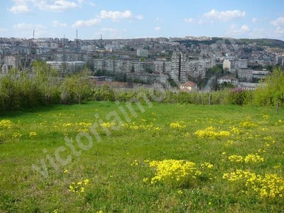 /international/bg/зона-б-zona-b-велико-търново-veliko-tarnovo-province-120051944510/