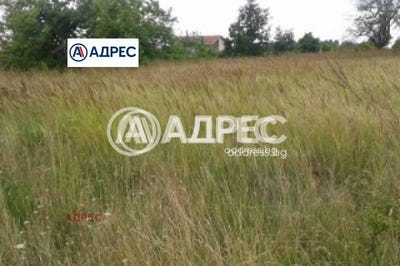 /international/bg/с-звездица-s-zvezdica-варна-varna-310099592536/