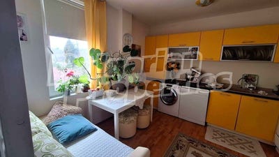 /international/bg/к-к-св-св-константин-и-елена-k-k-sv-sv-konstantin-i-elena-варна-varna-310098288872/?lang=en