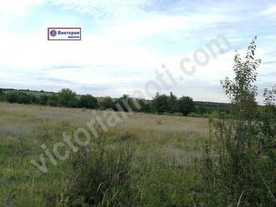 /international/bg/с-ветринци-s-vetrinci-велико-търново-veliko-tarnovo-province-120050104960/