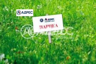 /international/bg/с-круша-s-krusha-варна-varna-310107563107/