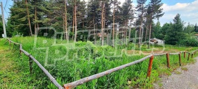 /international/bg/в-з-ярема-v-z-iarema-софия-sofia-city-province-120085631020/