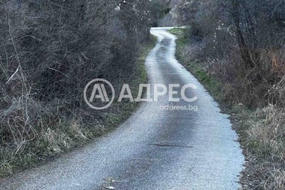 /international/bg/с-прибои-s-priboy-перник-pernik-310097302583/