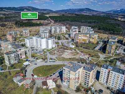 /international/bg/тева-teva-перник-pernik-120083191585/