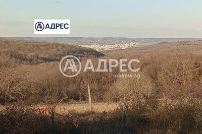 /international/bg/с-звездица-s-zvezdica-варна-varna-310106573285/