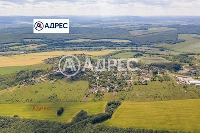/international/bg/с-китка-s-kitka-варна-varna-310106043585/