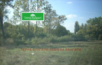 /international/bg/с-рударци-s-rudarci-перник-pernik-310108368935/