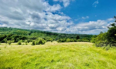 /international/bg/гр-елена-gr-elena-велико-търново-veliko-tarnovo-province-310107676523/