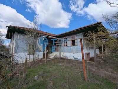 /international/bg/с-благоево-s-blagoevo-велико-търново-veliko-tarnovo-province-310098204239/?lang=en